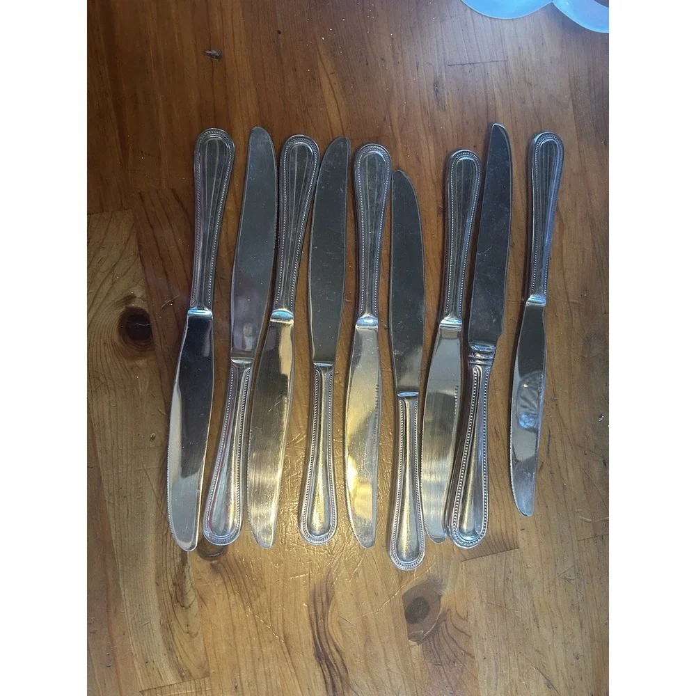 Pottery Barn PBN23 Stainless Beaded Outline Flatware Lot 9 Dinner Knives Knife